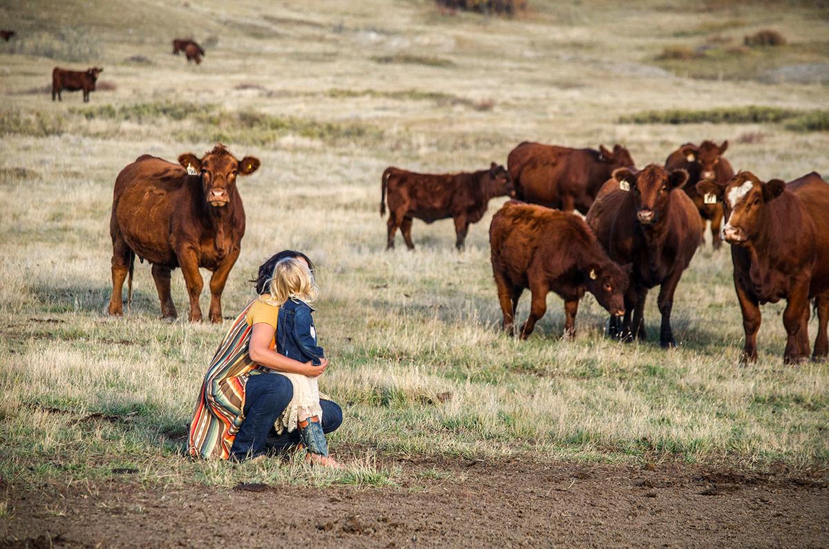 N. Dykstra – The Future