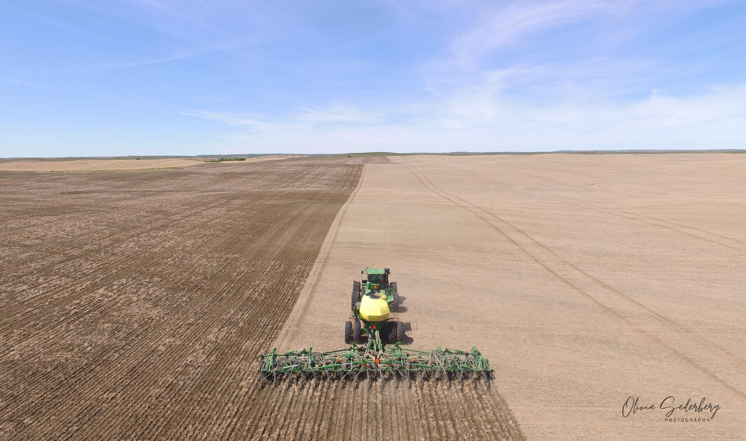 O. Sederberg – Seeding Time