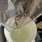 20250918_194021750_iOS