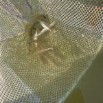 20250918_194759310_iOS