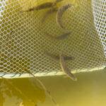 20250918_194806808_iOS